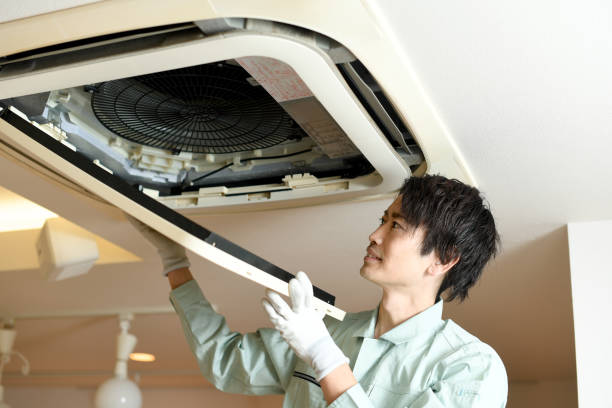 Best Residential Air Duct Cleaning  in Durand, MI